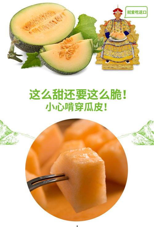 早起吃蜜瓜,唤醒味蕾的甜蜜早晨