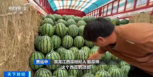 吃瓜橱窗,吃瓜橱窗里的明星幕后故事