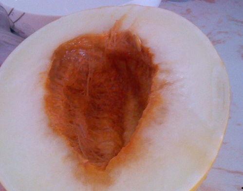 胃病可以吃伊丽莎白瓜嘛,胃病患者适宜食用伊丽莎白瓜的解析