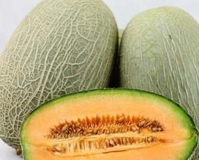 哈密瓜种可以吃吗,哪些可以放心食用