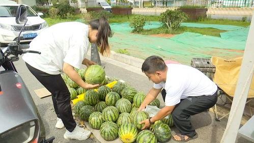 吃瓜第5天,揭秘吃瓜第五天的惊人内幕