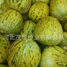 花皮瓜怎么吃,解锁美味新体验