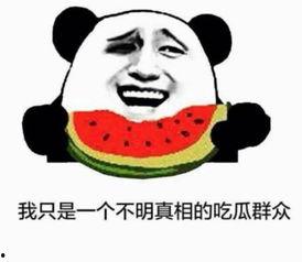 欢喜吃瓜群众,揭秘娱乐圈幕后故事